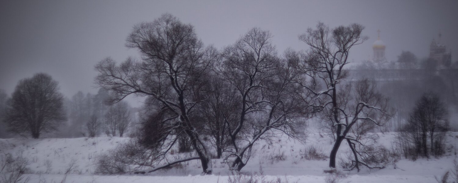 Photo #13392897