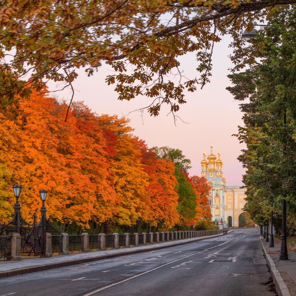 Октябрь в Царском Селе