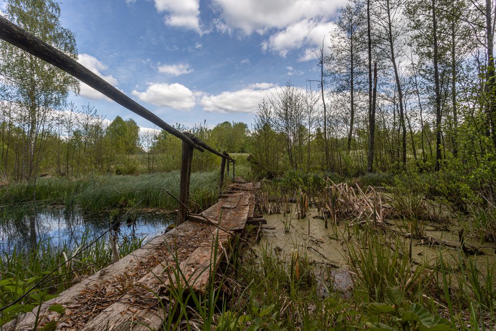 Photograph by Митрошенков Алексей