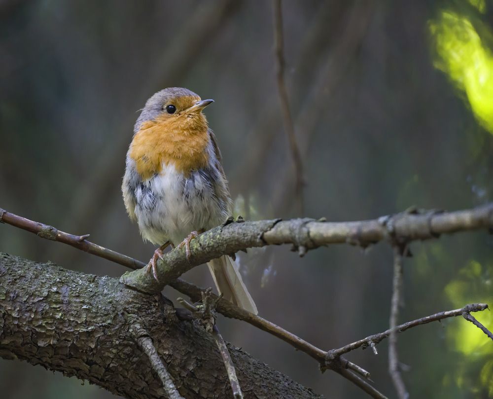 Photograph by Вадим Андреев
