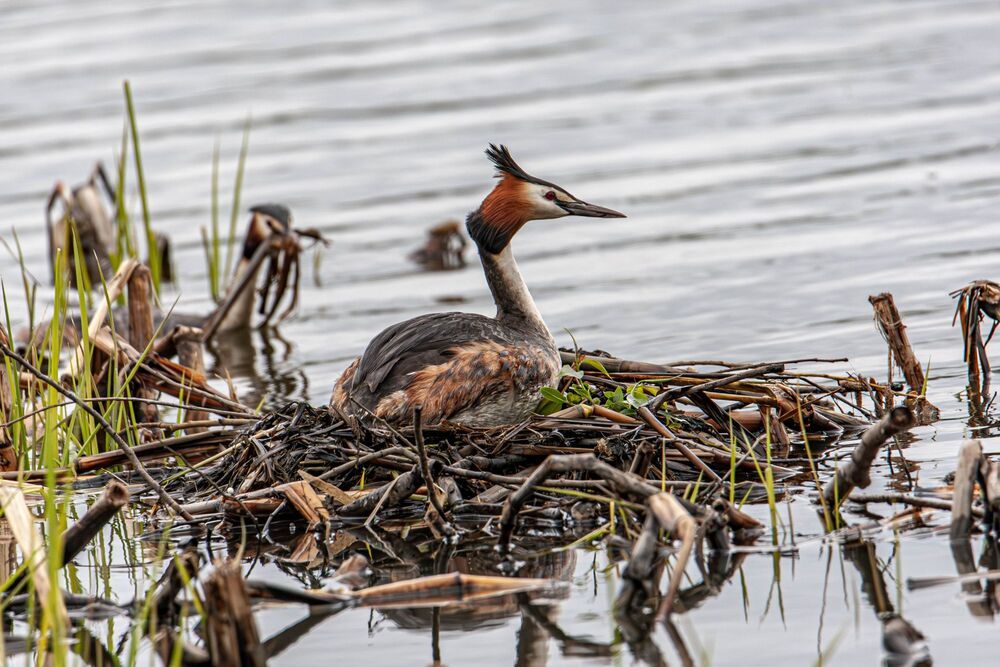 Photograph by Волынский Виктор