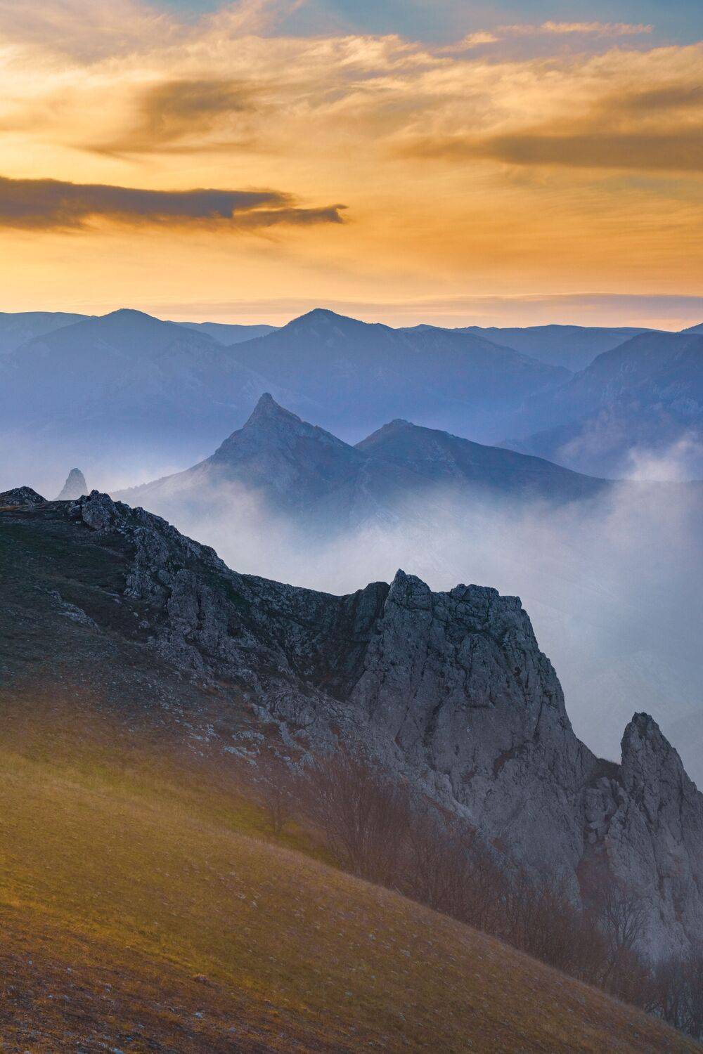 Фотография #13393089