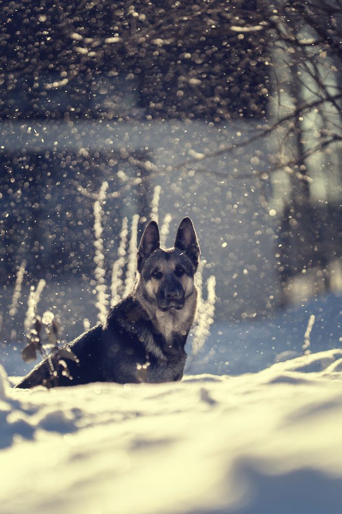 Photograph by Инга Добрынина