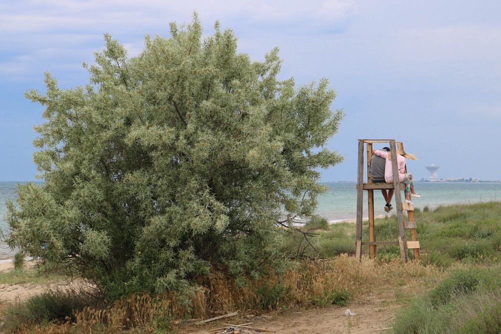 Photograph by Сергей Скорик