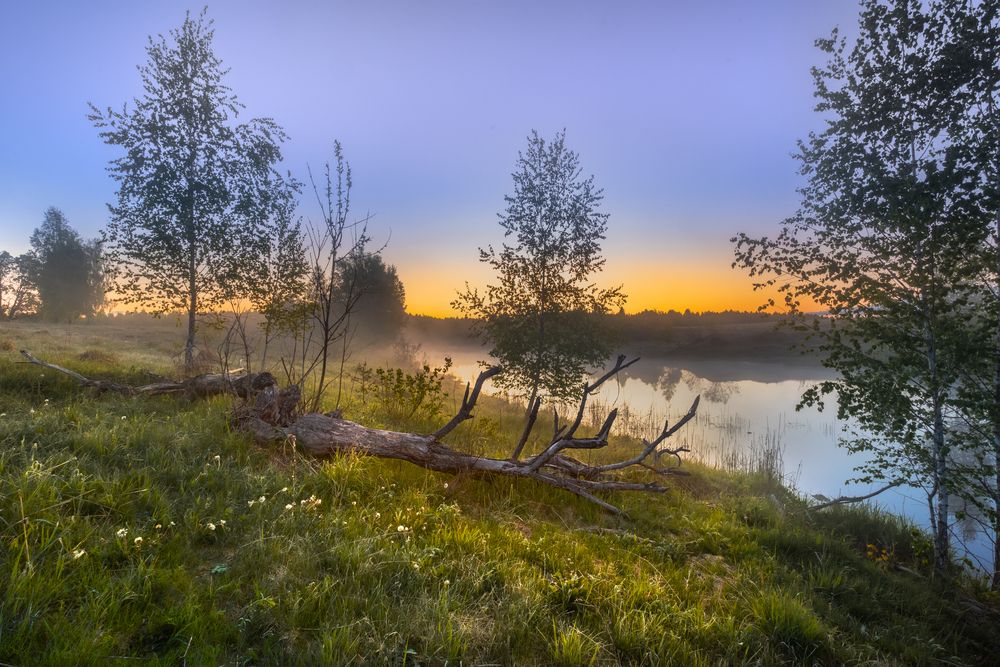 Photograph by Митрошенков Алексей