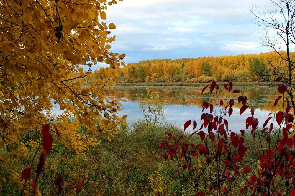 Photograph by Галина Мазур