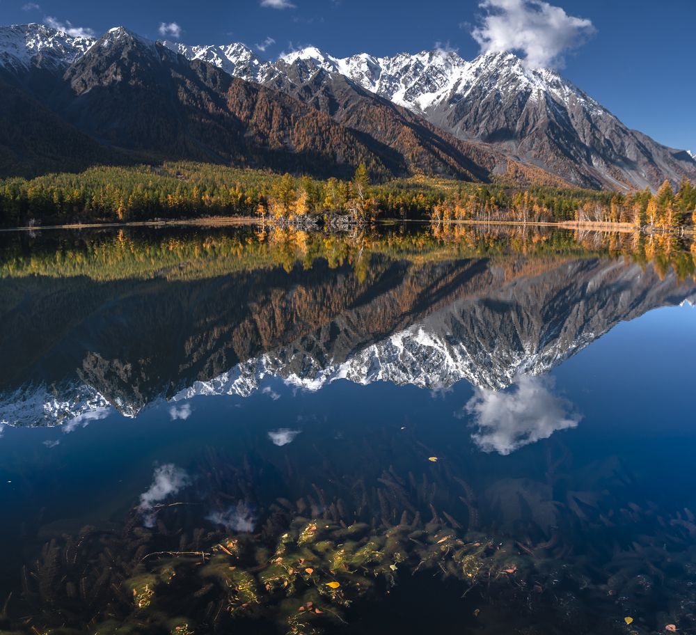 Photograph by Mark Devender