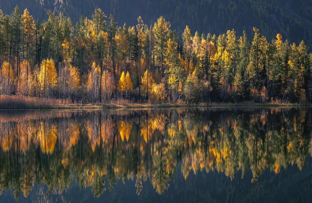 Photograph by Mark Devender