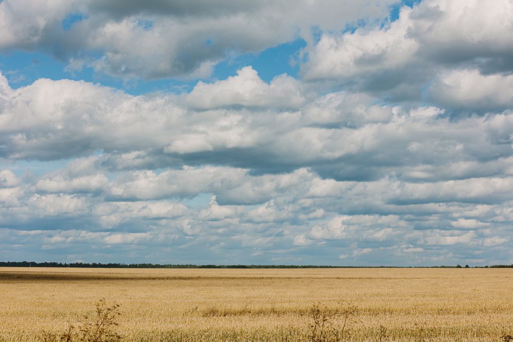Photograph by Юлия Викторовна