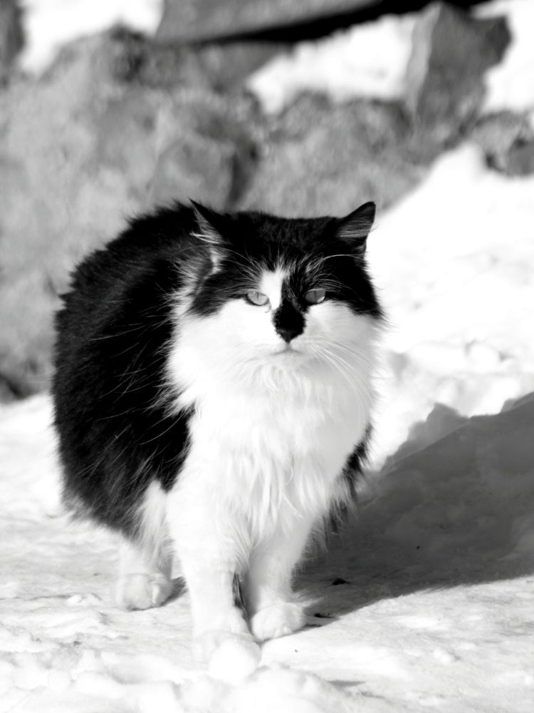 Photograph by Алексей Макаров