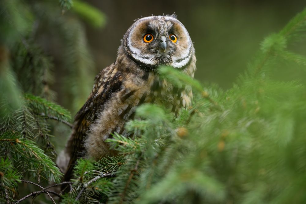Photograph by Афлятунов Рустам