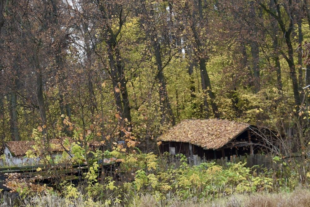 Осень