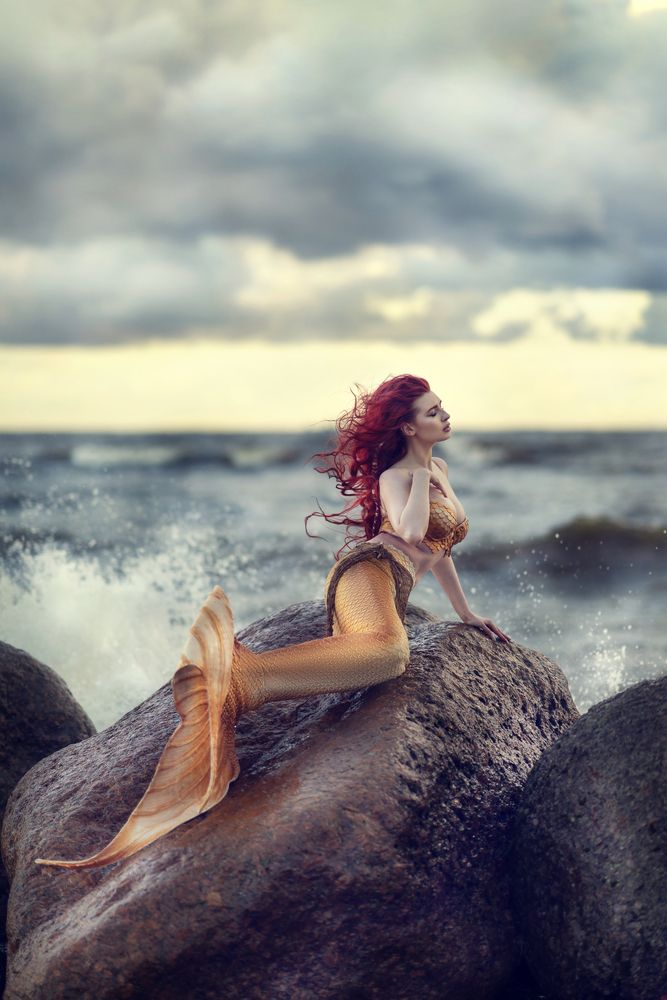 Photograph by Инга Добрынина
