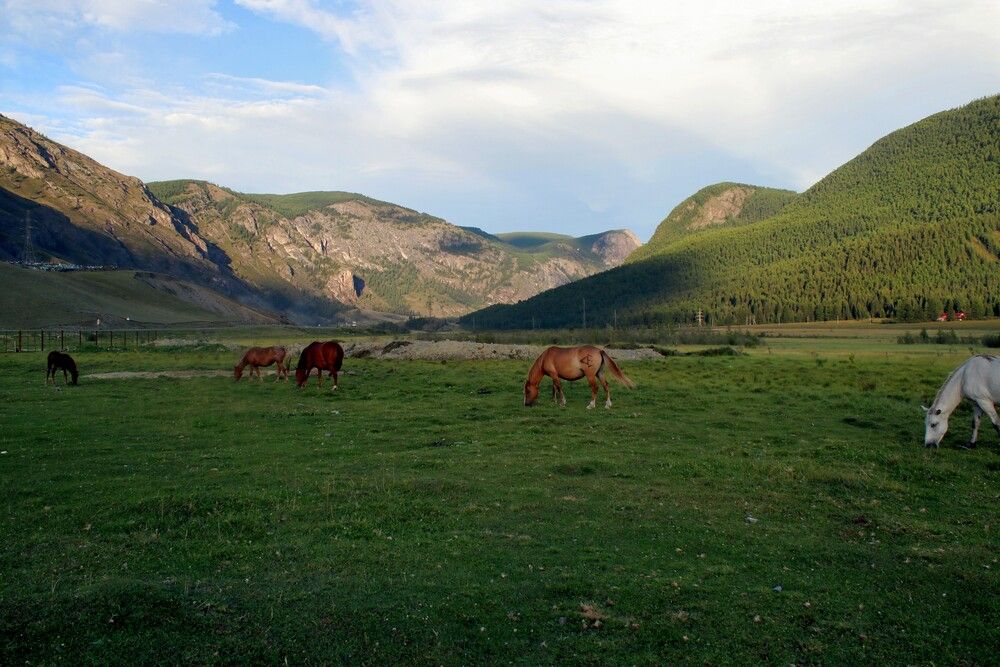 Photograph by Галина Мазур