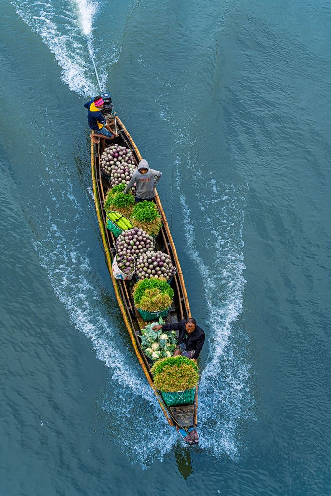 Harvest in Motion