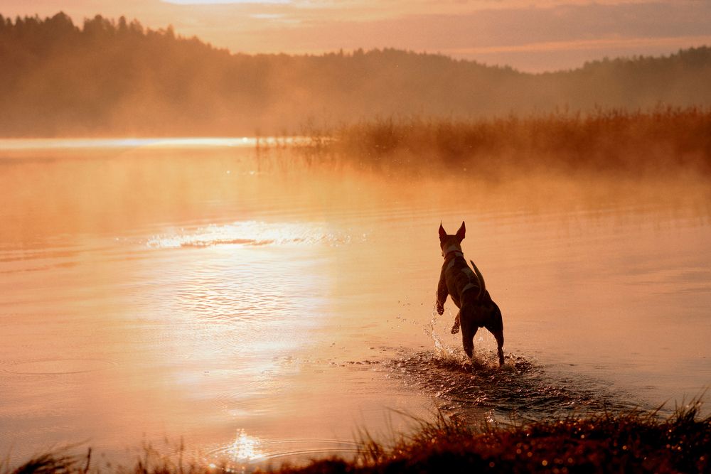Photograph by Алёна Губинская