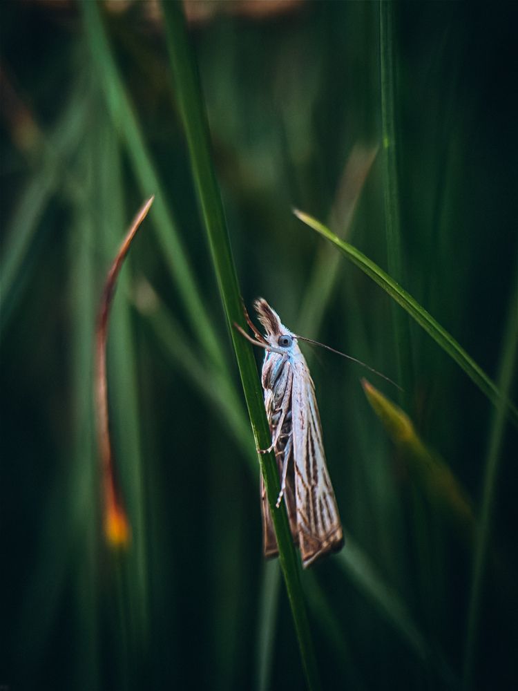 Photograph by Марина Харитонова