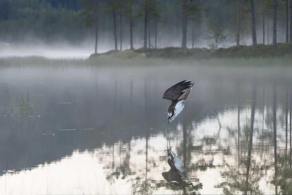 Photograph by Jørgen Hovde