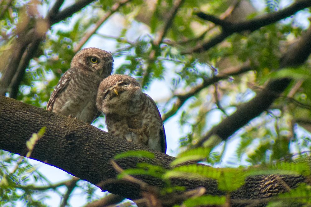 Photograph by Vikrant Khedekar