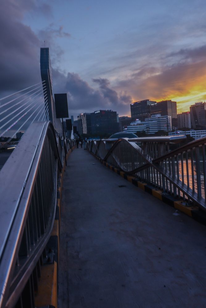 Фотография автора Shalini Jain