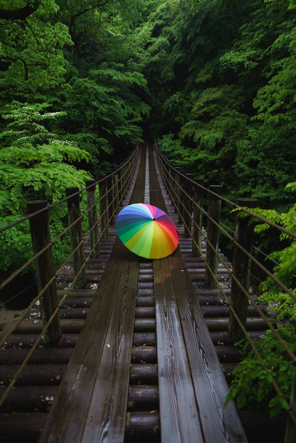 Suspension bridge after the rain