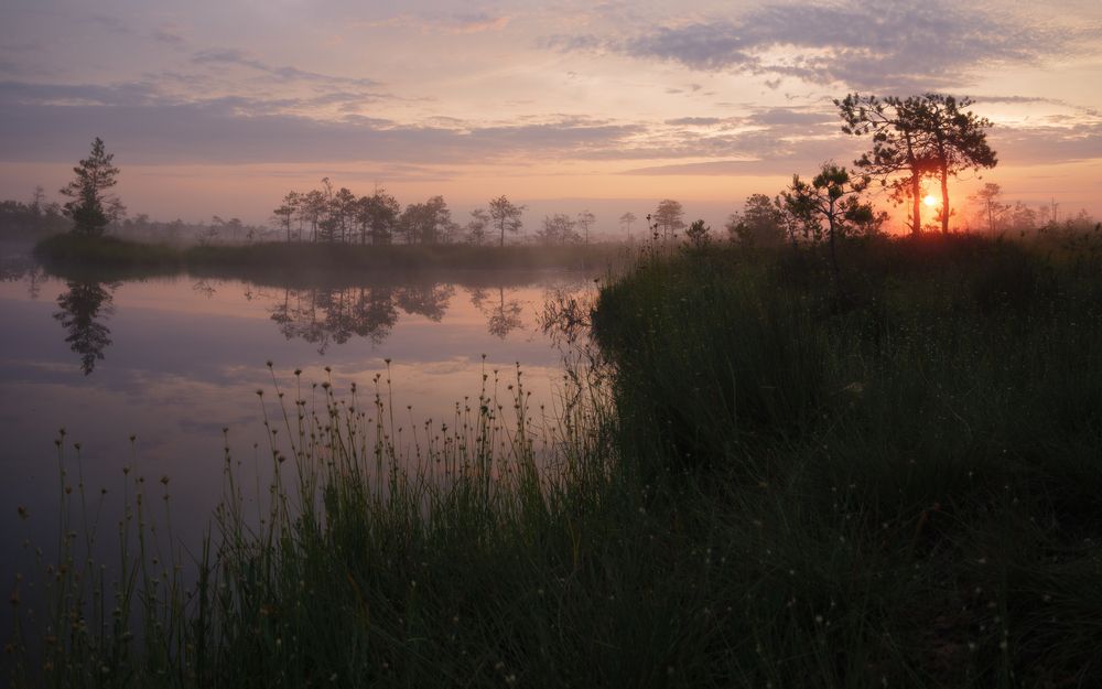 Photograph by Врубель Андрей