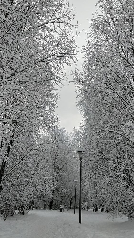 Photograph by Елена Киселёва
