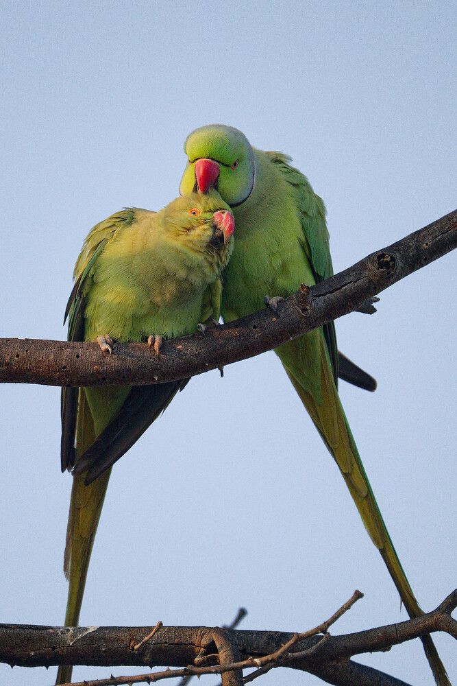 Photograph by Timofey Vlasov