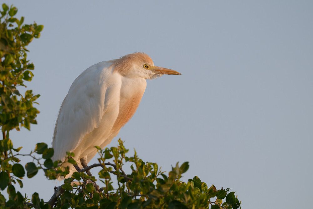Photograph by Timofey Vlasov