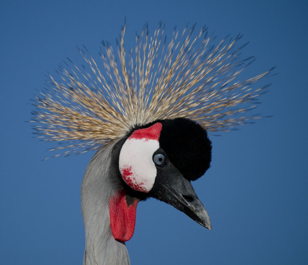 Photograph by Timofey Vlasov