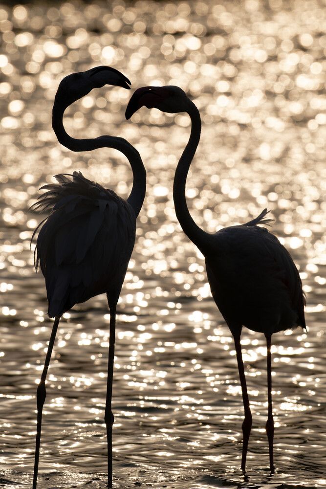 Photograph by Timofey Vlasov