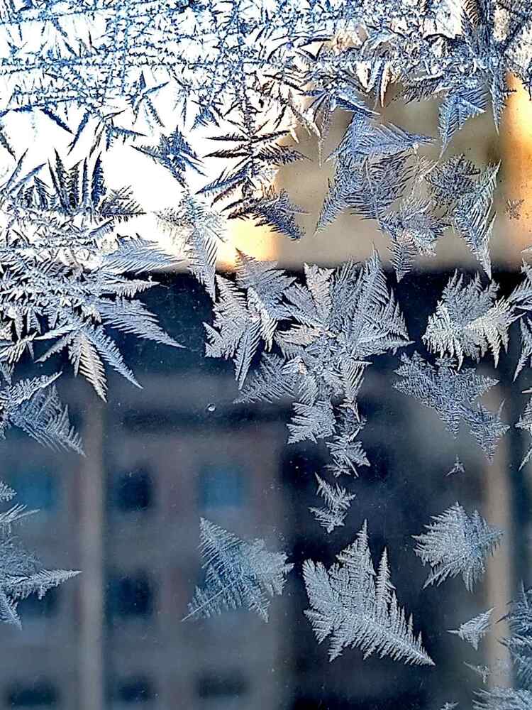 Фотография автора Татьяна Солтан
