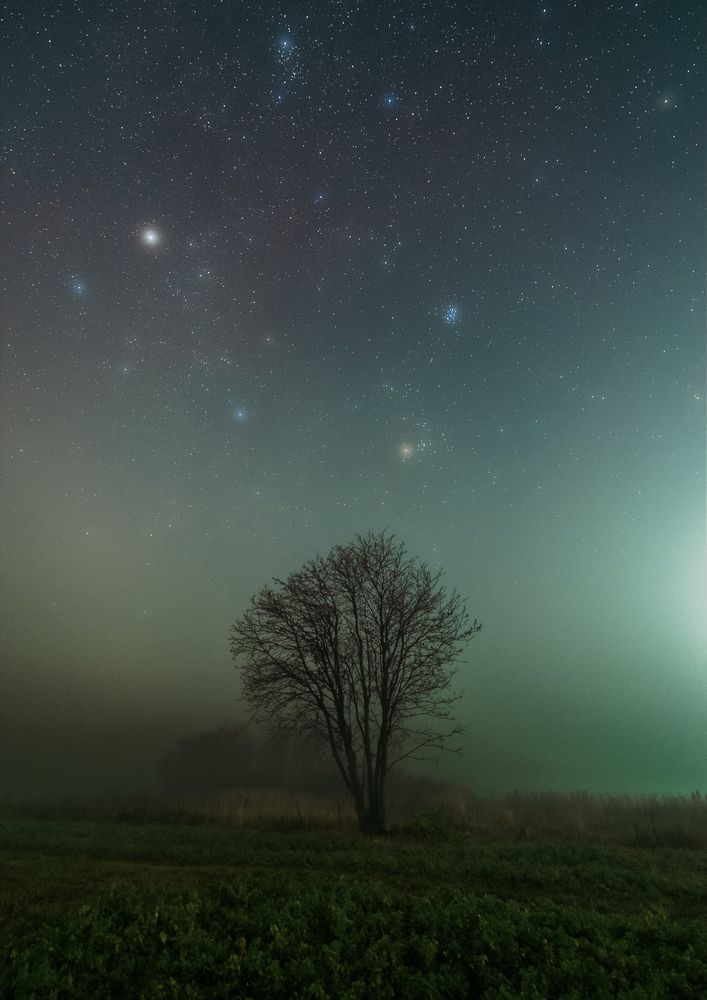 Фотография автора Григорьев Константин