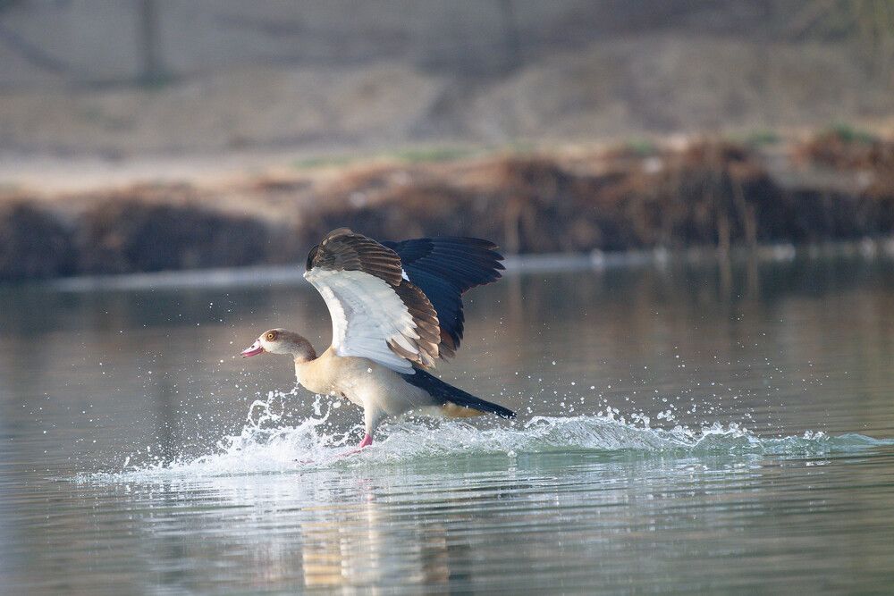 Photograph by Timofey Vlasov