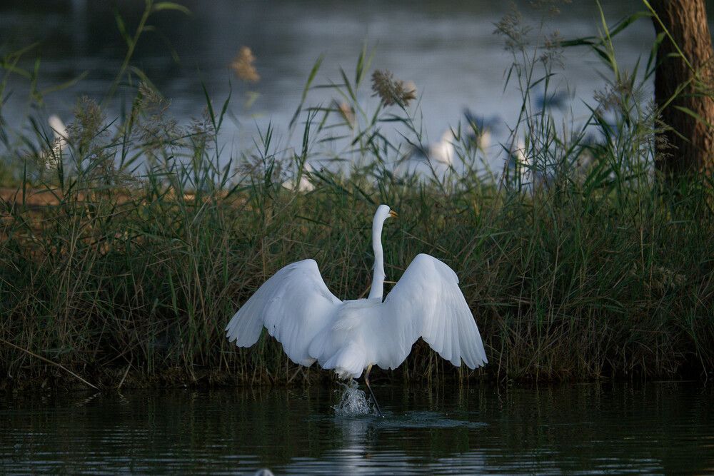 Photograph by Timofey Vlasov