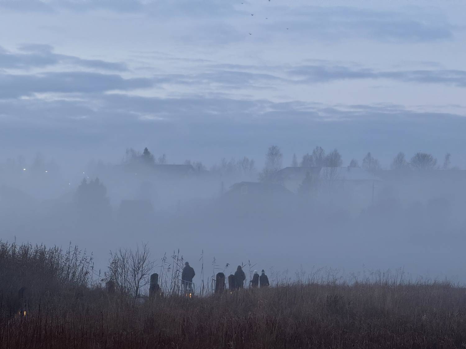 Photo #13393983