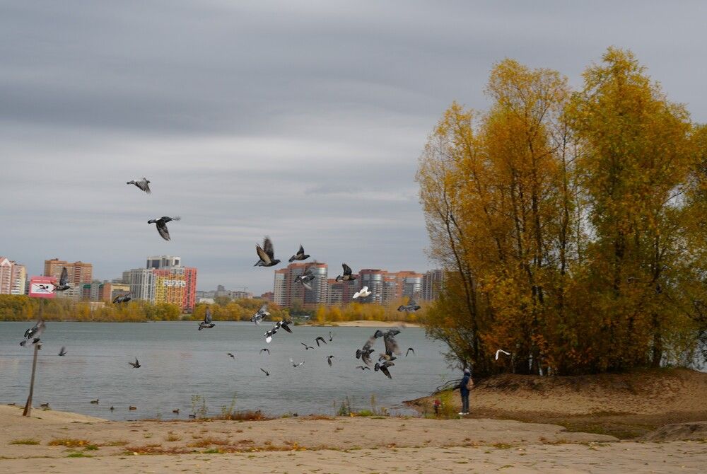 Осеннее настроение