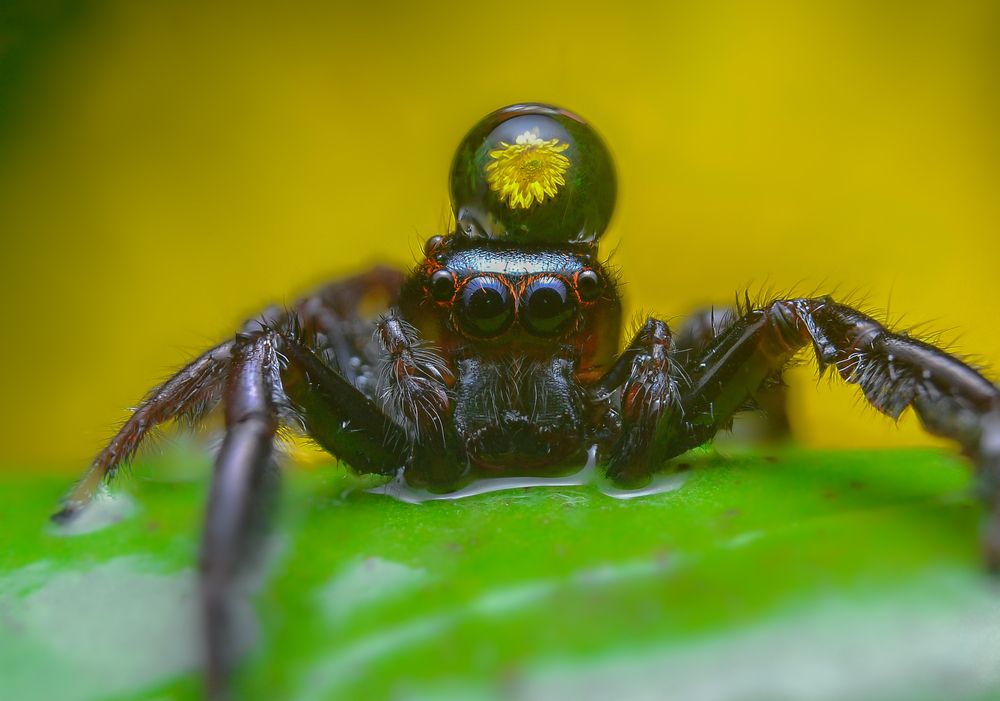 Photograph by Kasun Wickramasinghe
