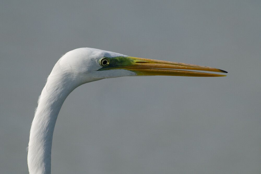 Photograph by Timofey Vlasov