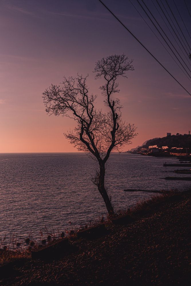 Photograph by Денис Турдиев