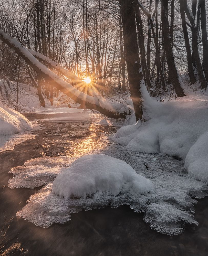 Photograph by Silyavin Nikita