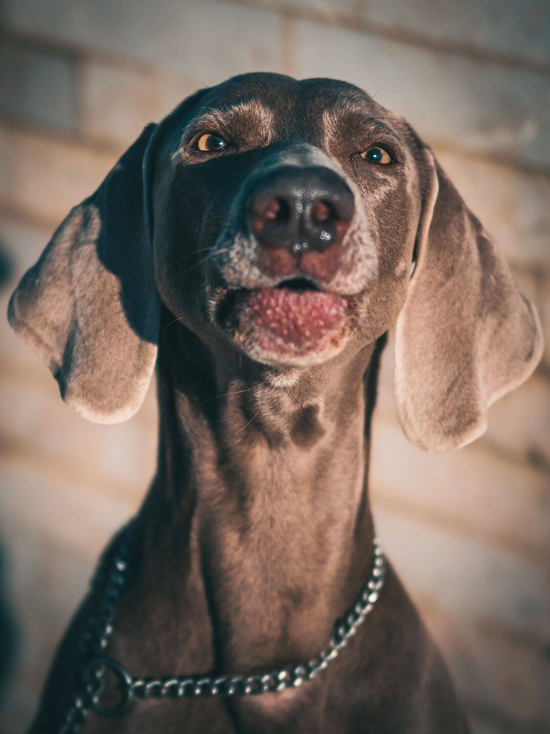 Фотография #13394305