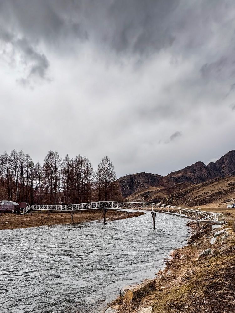 Фотография автора Галина Шиманцова