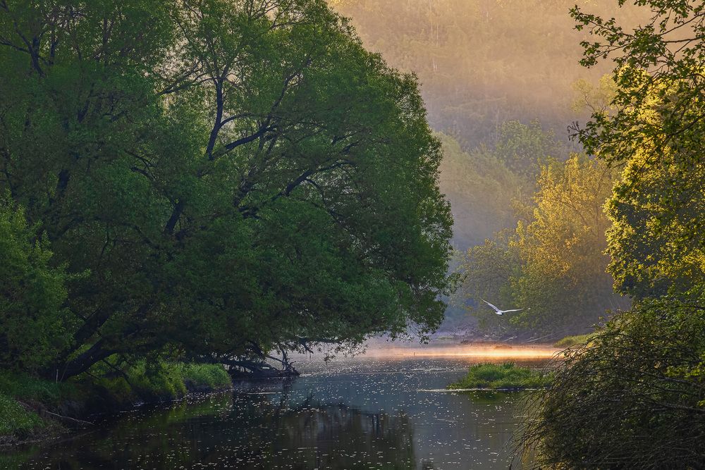 Photograph by Критский Игорь