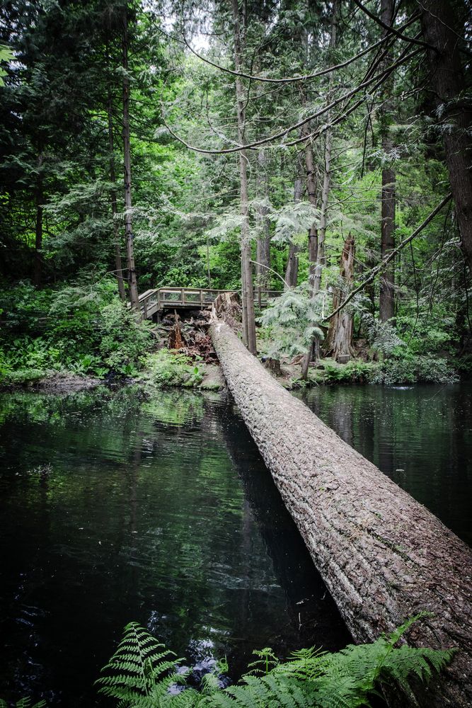 Photograph by Anastasiya Arkin