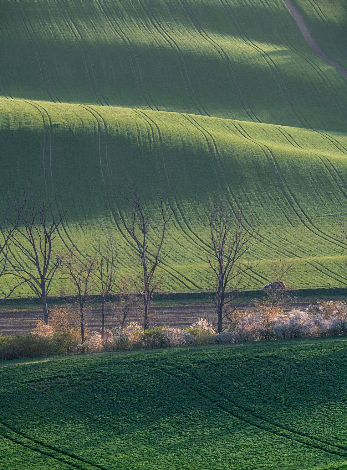 Фотография #13394438