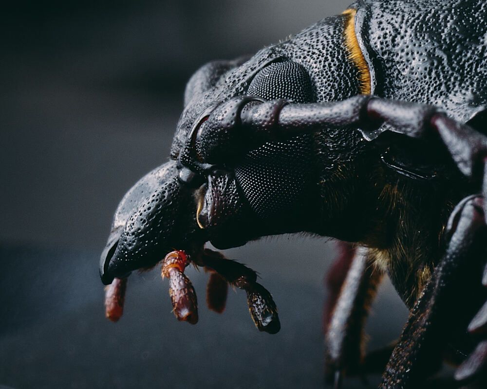 Photograph by Mikhail Khmelevskiy