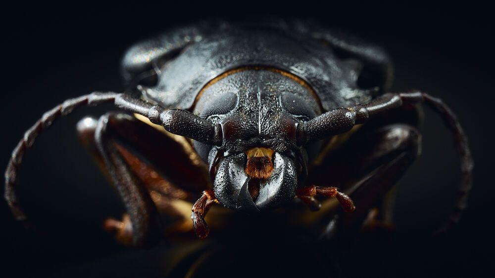 Photograph by Mikhail Khmelevskiy