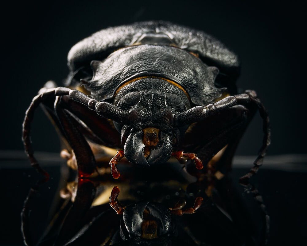 Photograph by Mikhail Khmelevskiy