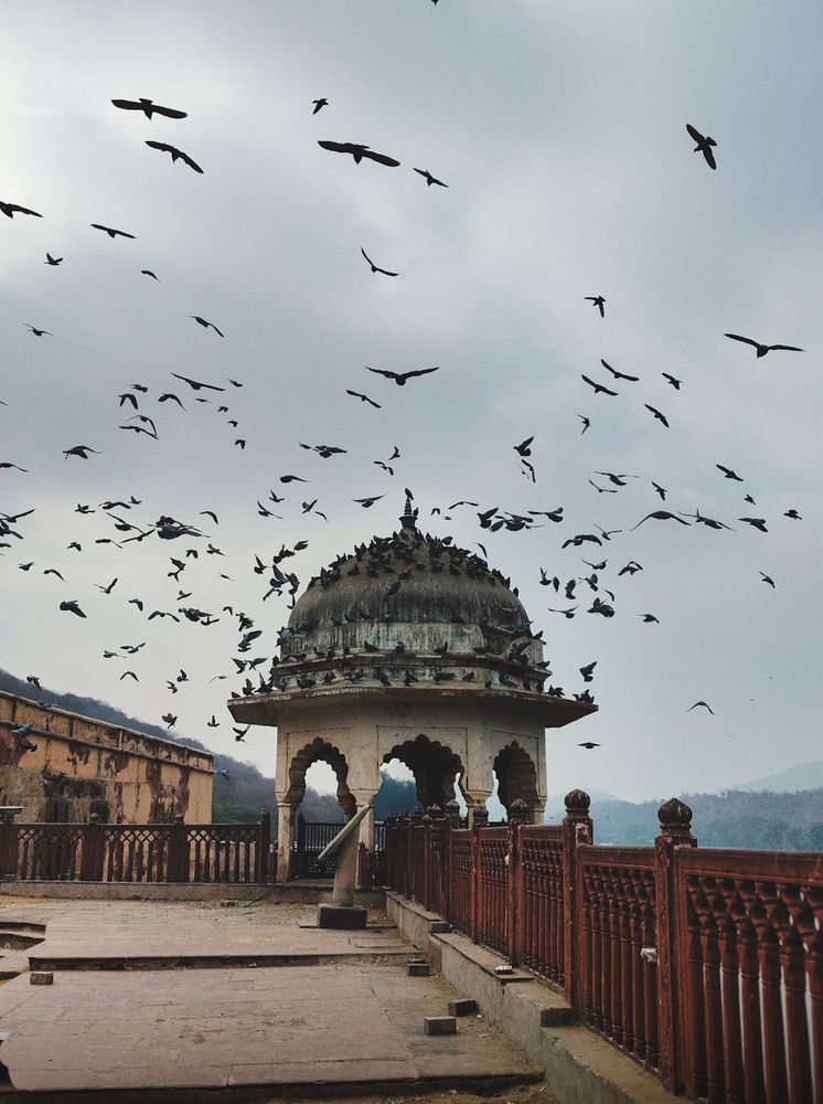 Photograph by Athul Krishna T. R.